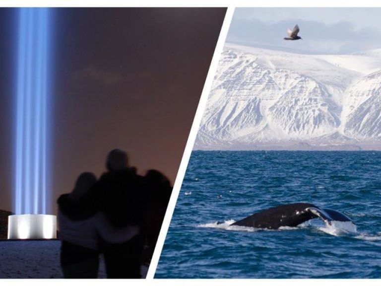 Reykjavík Whales & Imagine Peace Tower.