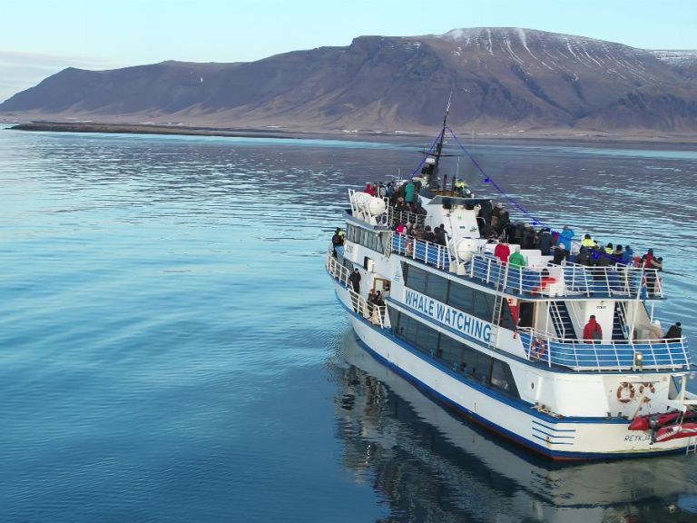 Whale Watching From Reykjavik: Special Tours operates two types of whale watching from the Old Harbour in Reykjavik, Whale Watching Classic and Whale Watching Express.