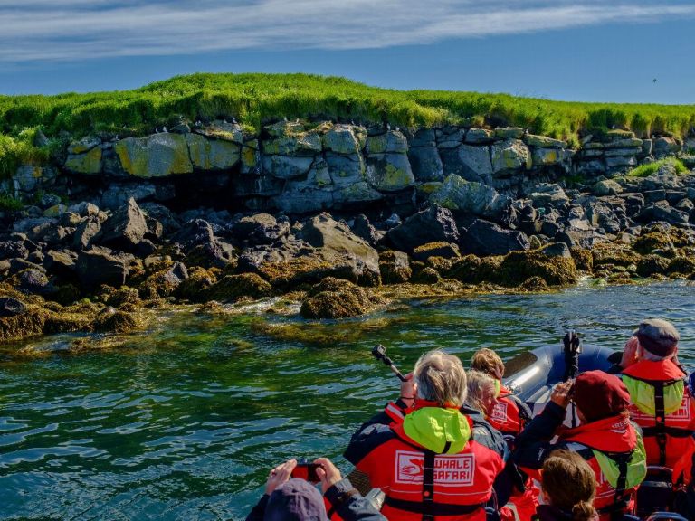 Reykjavík Premium Puffin Tour. Leaving from the Old Harbour in Reykjavík, this is the ultimate puffin adventure tour! We arrive at the islands before other operators so we can enjoy an uninterrupted visit to the puffins and seabirds of the Faxaflói Bay.