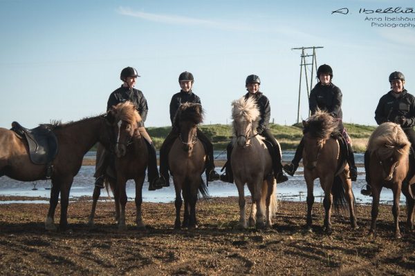 Horseback Riding Tour – Daytour