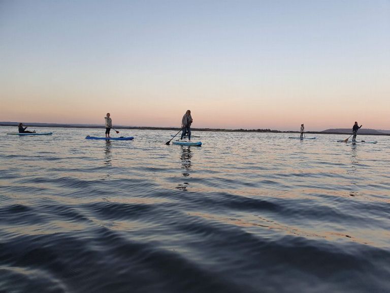 Paddle Board Tour.