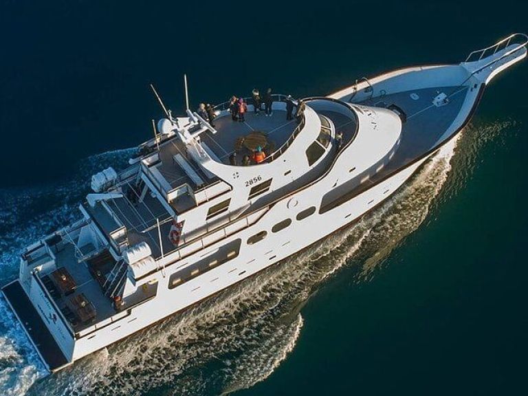 Whale Watching & Dolphin Luxury Yacht Cruise: Join Harpa Yachts for a comfortable whale & dolphin watching cruise from Reykjavik Old Harbor. On this cruise with we sail out from the old harbor in downtown Reykjavik out to Faxafloi bay looking for whales & dolphins.