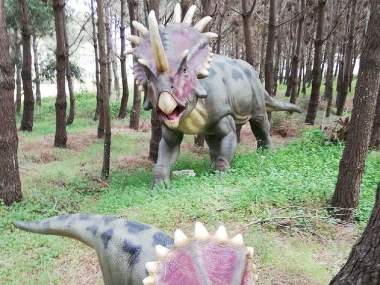PERFECT FOR CHILDREN! Jurassic Park private tour. You will visit the Biggest Jurassic Park in Europe, a theme park dedicated to dinosaurs, the largest outdoor museum in Europe, and one of the best attractions near Lisbon.