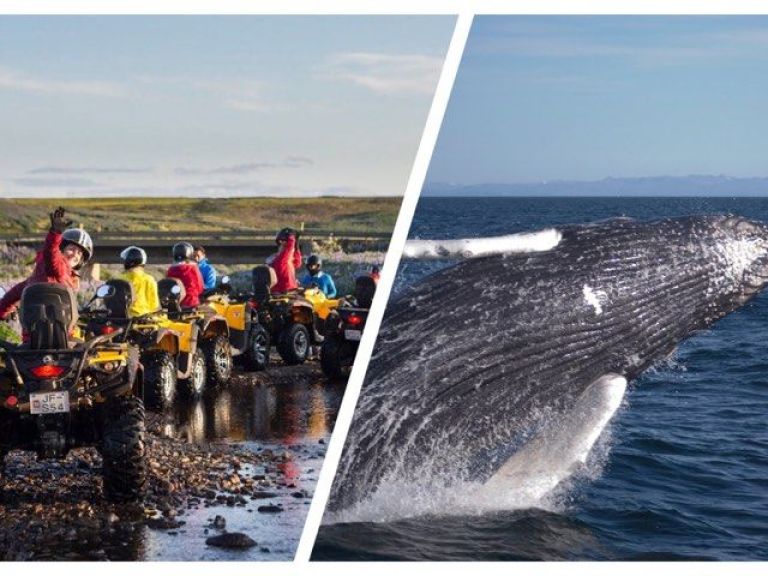 Reykjavík Whales & ATV.