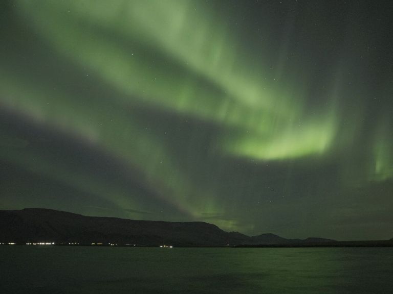 Auroras at Whales of Iceland & Northern Lights by Boat.