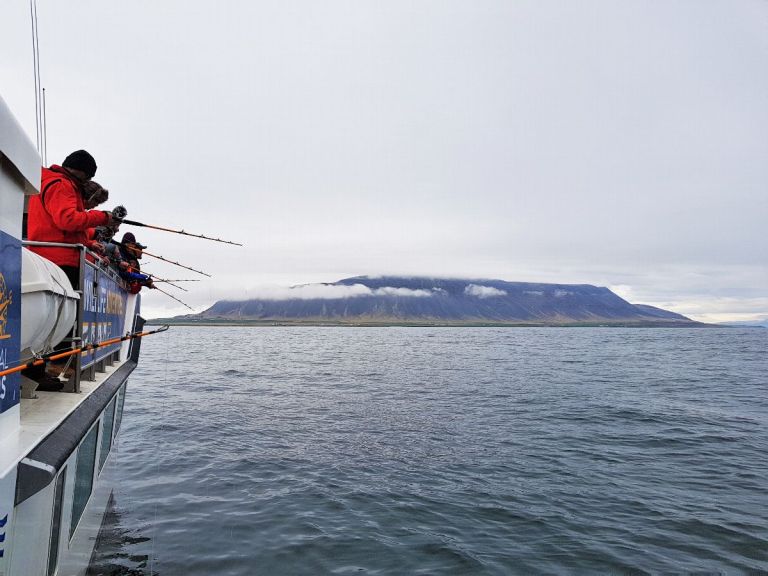 Sea Angling. With our company, you can enjoy the fishing adventure of a lifetime! Sea Angling is a great activity for all ages. We set off from Reykjavik's Old Harbour and head out to fishing area Faxaflói Bay, where our experienced crew will usually spot fish in a flash!