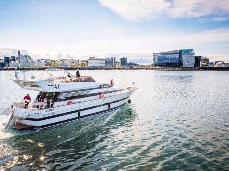 Whale Watching & Dolphin Luxury Yacht Cruise: Join Harpa Yachts for a comfortable whale & dolphin watching cruise from Reykjavik Old Harbor. On this cruise with we sail out from the old harbor in downtown Reykjavik out to Faxafloi bay looking for whales & dolphins.