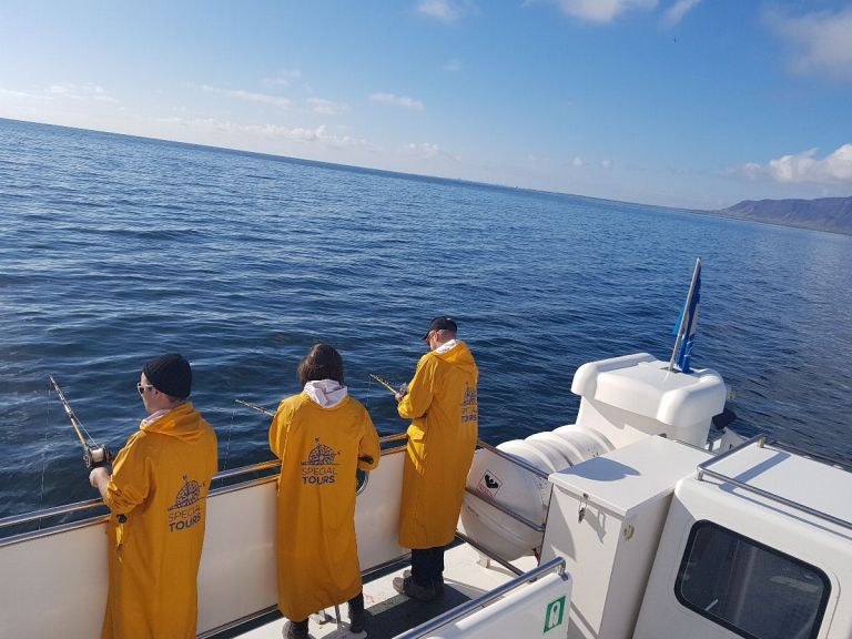 Sea Angling. With our company, you can enjoy the fishing adventure of a lifetime! Sea Angling is a great activity for all ages. We set off from Reykjavik's Old Harbour and head out to fishing area Faxaflói Bay, where our experienced crew will usually spot fish in a flash!