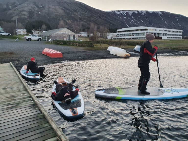 Paddle Board Tour.