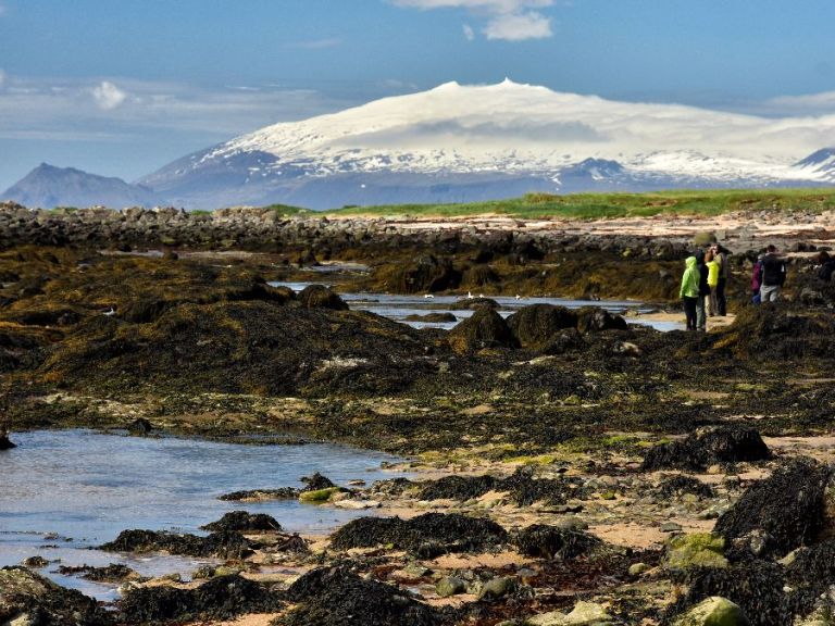 Snæfellsnes National Park: In Reykjavik, we will pick you up to start the journey, which involves taking the undersea tunnel, a 6 km long passage that crosses under Hvalfjordur, also known as the Whale bay fjord.