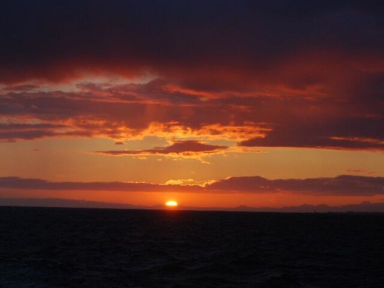 Reykjavík Premium Whales in the Midnight Sun.