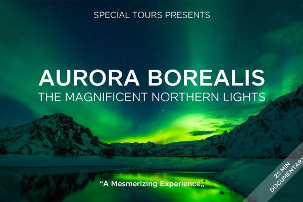 Northern Lights by Boat with a Backup Plan