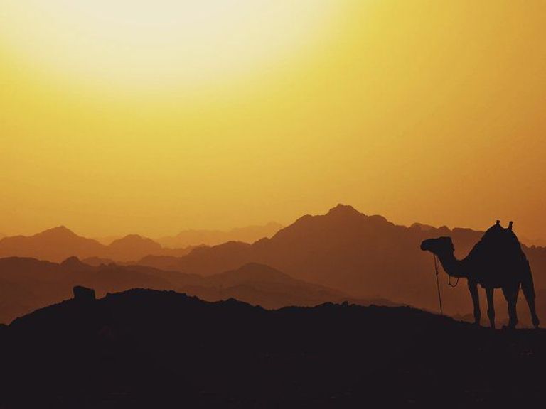 Tour from Marrakech to Agafay Desert Sunset & Camel ride.