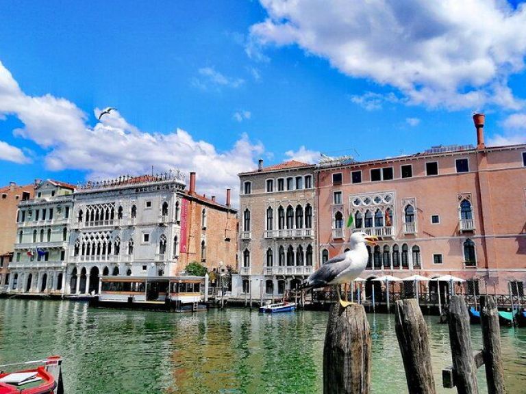 Fish shopping in Rialto and home cooking in Murano. Be a true Venetian!