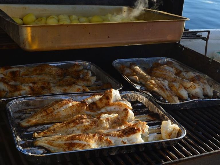 Sea Angling. With our company, you can enjoy the fishing adventure of a lifetime! Sea Angling is a great activity for all ages. We set off from Reykjavik's Old Harbour and head out to fishing area Faxaflói Bay, where our experienced crew will usually spot fish in a flash!