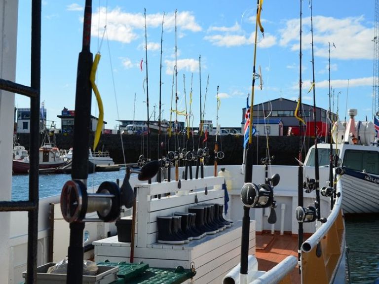 Sea Angling. With our company, you can enjoy the fishing adventure of a lifetime! Sea Angling is a great activity for all ages. We set off from Reykjavik's Old Harbour and head out to fishing area Faxaflói Bay, where our experienced crew will usually spot fish in a flash!