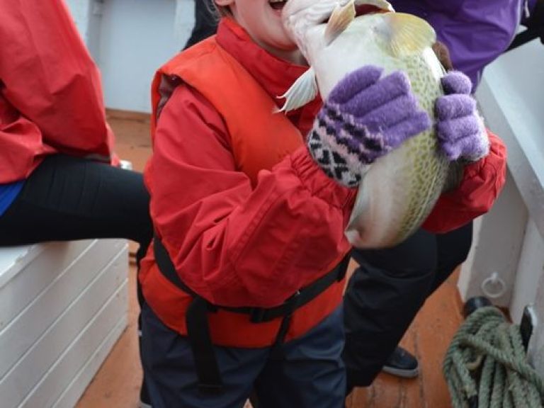 Sea Angling. With our company, you can enjoy the fishing adventure of a lifetime! Sea Angling is a great activity for all ages. We set off from Reykjavik's Old Harbour and head out to fishing area Faxaflói Bay, where our experienced crew will usually spot fish in a flash!