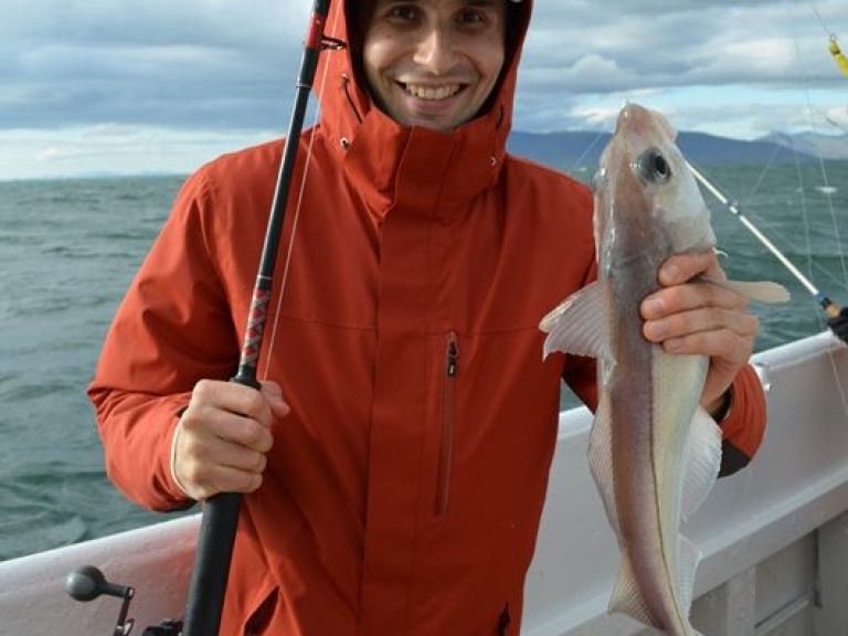 Sea Angling. With our company, you can enjoy the fishing adventure of a lifetime! Sea Angling is a great activity for all ages. We set off from Reykjavik's Old Harbour and head out to fishing area Faxaflói Bay, where our experienced crew will usually spot fish in a flash!