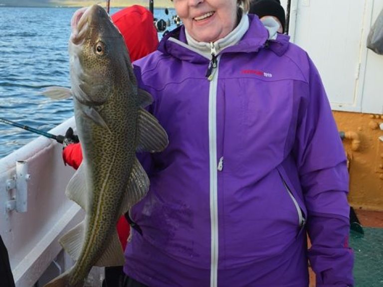 Sea Angling. With our company, you can enjoy the fishing adventure of a lifetime! Sea Angling is a great activity for all ages. We set off from Reykjavik's Old Harbour and head out to fishing area Faxaflói Bay, where our experienced crew will usually spot fish in a flash!