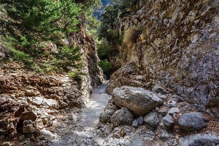 Private hike Imbros gorge & explore Sfakia with lunch.