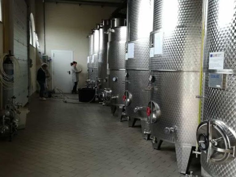 Rome Wine Tasting Tour in an authentic Frascati Winery.
