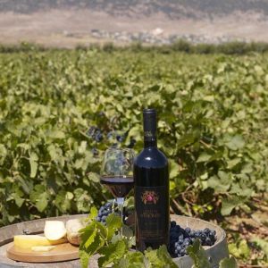 Private Wine Tasting Day Tour from Beirut.