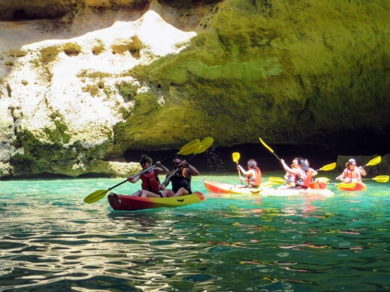 Private kayak tour.