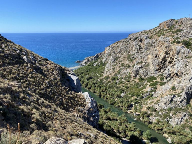 Palm Forest Hike in Preveli from Rethymno.