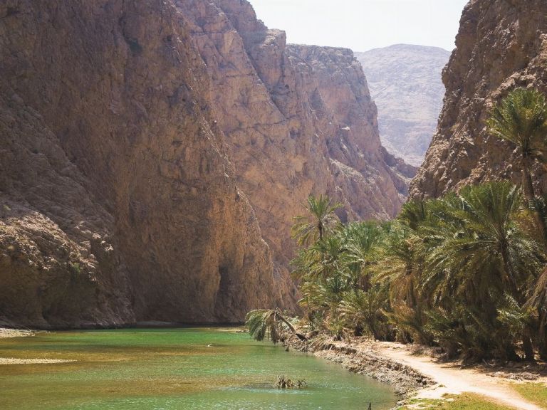 Discover the South and Wadi Shab from Muscat.