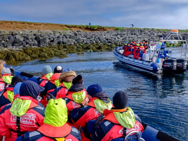 Premium Puffin Tour - Leaving from the Old Harbour in Reykjavík, this is the ultimate puffin adventure tour operated on our RIB speedboats.