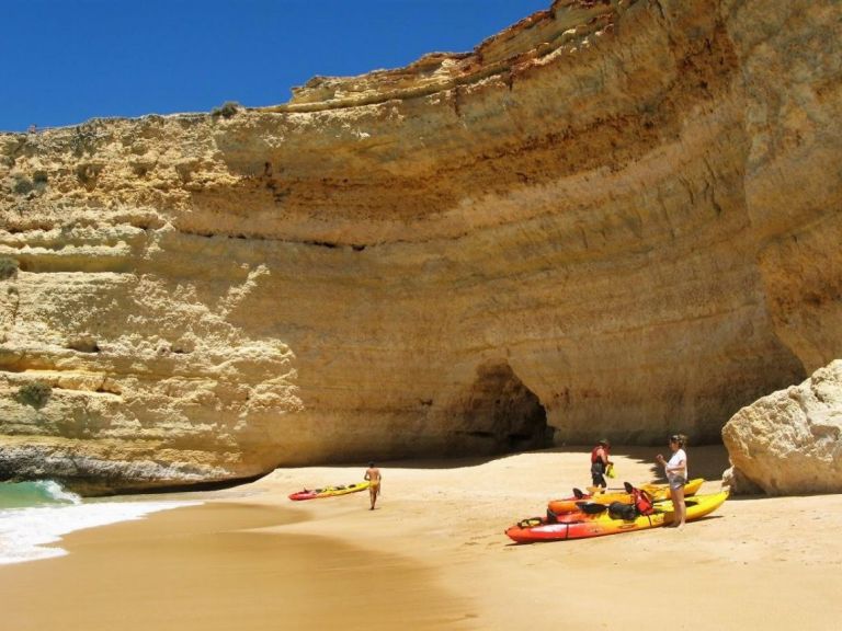 Private kayak tour.