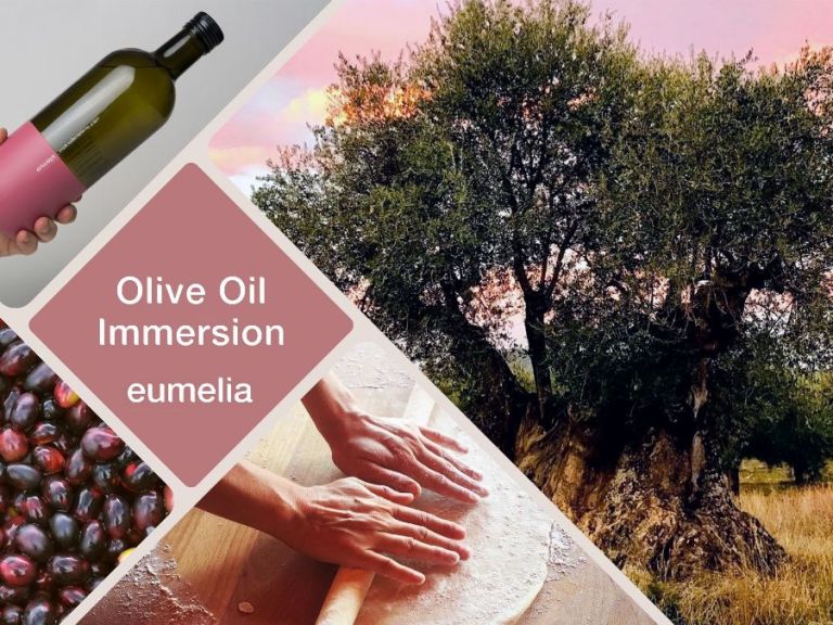 Olive Oil Immersion Tour - Are you ready to take control over your health and introduce Mediterranean nutrition to your life?
