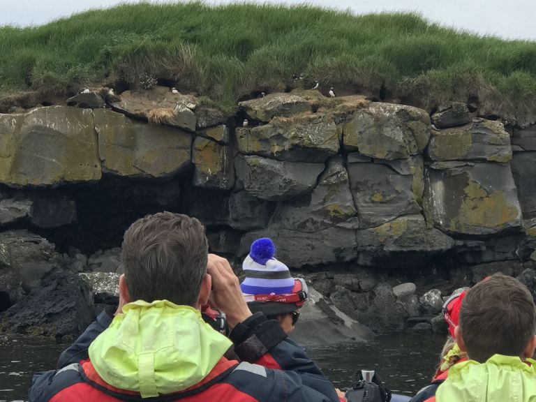 The Puffin Express by RIB Speedboat is the perfect option for an exciting, fast tour that presents the opportunity to get really close to the birds! The adventure starts at the Old Harbour of Reykjavík and they only take one hour.