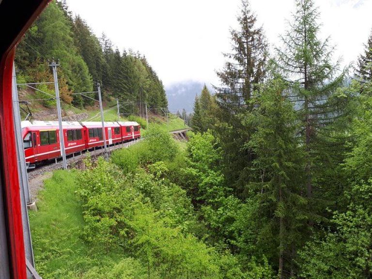 Bernina train and Swiss Alps