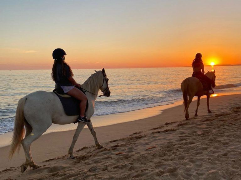 Horse Riding on the Beach - Experience an unforgettable sunset horseback riding adventure on the stunning beaches of...