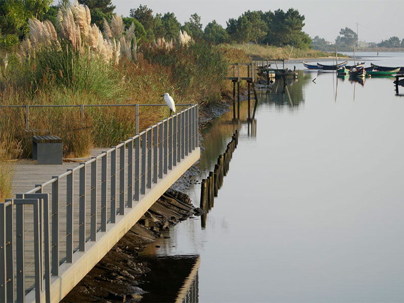 Ria de Aveiro walkways
