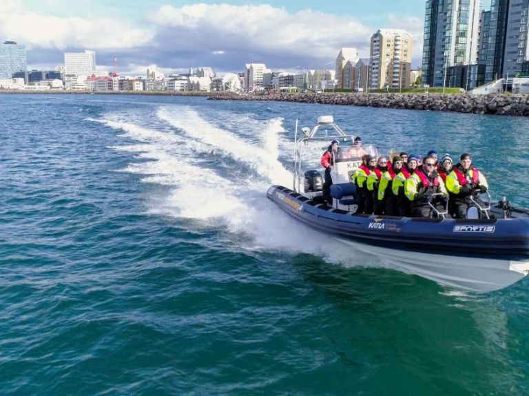 RIB Speedboat Whale Watching - See Iceland's gentle giants from our spectacular and fast Rib boats which are brand new and equipped with 12 suspension seats to enhance your comfort, security and level of enjoyment.