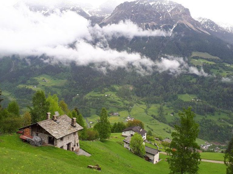 Bernina train and Swiss Alps