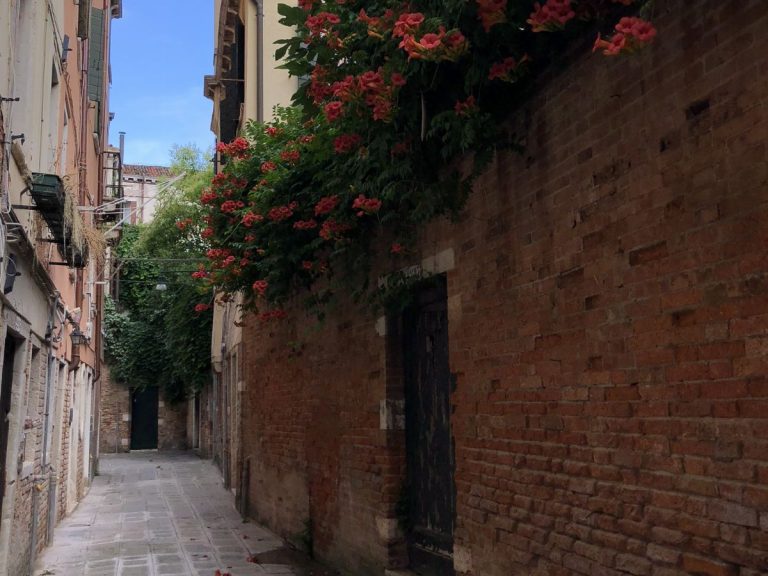 Dorsoduro and San Polo Districts - In San Trovaso square there is an unusual wooden structure that is similar to the house...