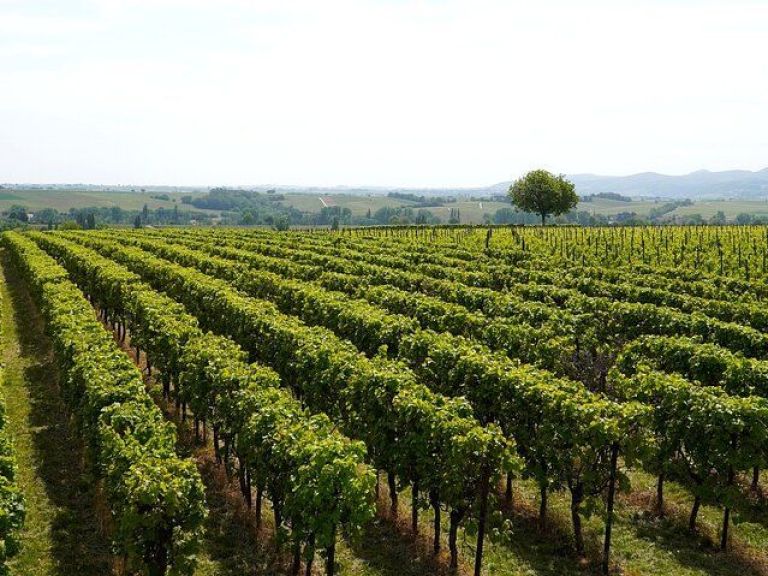Brescia and Franciacorta winery area