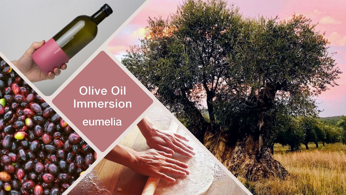 Olive Oil Immersion tour - Are you ready to take control over your health and introduce Mediterranean nutrition to your life?