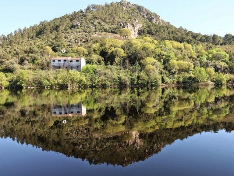 Full-Day Bird Watching Private - Head out from Lisbon on a full-day bird watching tour in the majestic Portas de Rodão...