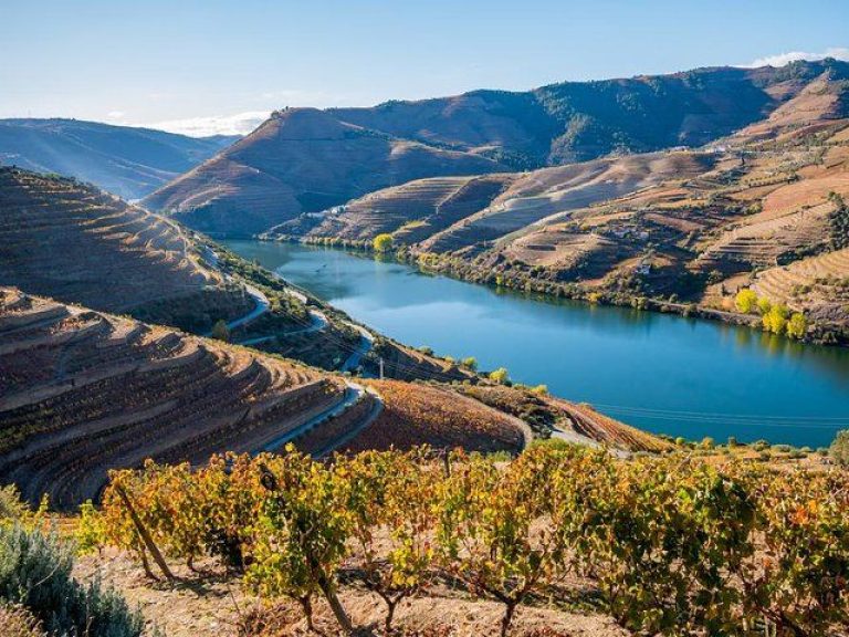 Porto and Douro Valley - Discover the beauty of the Douro Valley and city of Porto on a 3-day tour from Lisbon. See the majestic Porto city from the Serra do Pilar, enjoy a wine tasting in a wine cellar, take a cruise along the Douro River, and explore historic Lamego.