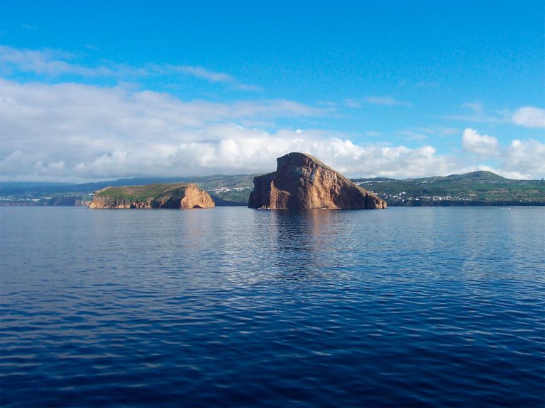 Whale Watching + Cabras Island (full day with lunch) - Discover the magnificent south coast of Terceira Island, observe...