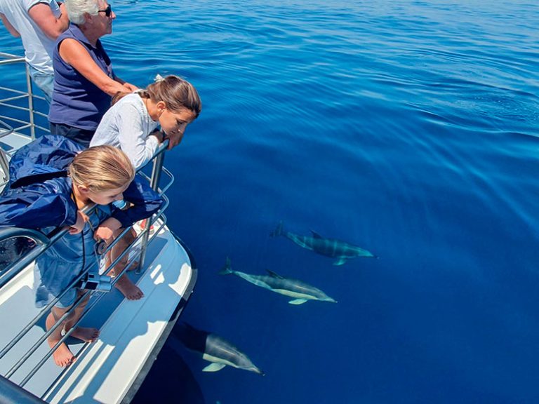 Benagil and Dolphin Watching:  Experience the Best of Algarve Ocean Adventures: Combined Benagil Sea Caves and Dolphin Watching from Lagos. Combine two of the most exhilarating experiences in the Algarve into one incredible adventure. Join our Combined Benagil Sea Caves and Dolphin Watching tour for an unforgettable journey.