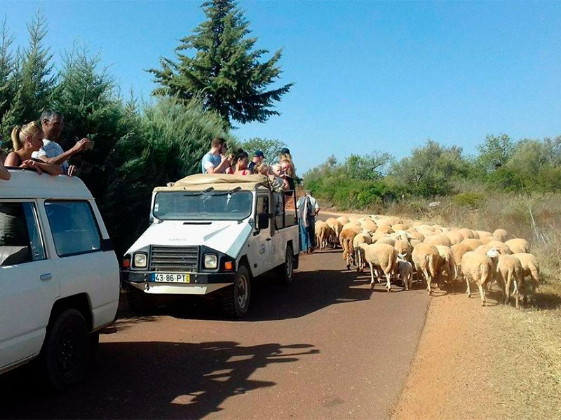 Jeep Safari in Algarve