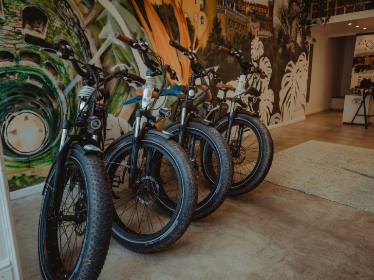 E-bike Experience in Sintra - If you intend to visit Sintra on your own, without hiring a guide or driver - it can be a big...