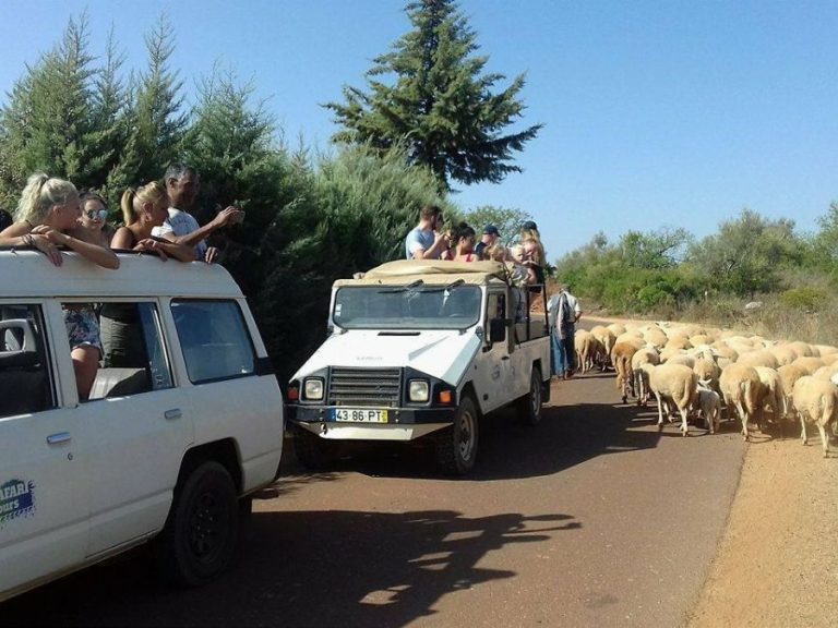 Jeep Safari in Algarve - Portugal’s Algarve region is a natural haven of beautiful landscapes, regional architecture, and...