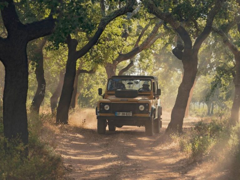 Full Day Private Safari - These private tours depart towards the interior of the Algarve to visit the most beautiful hidden...