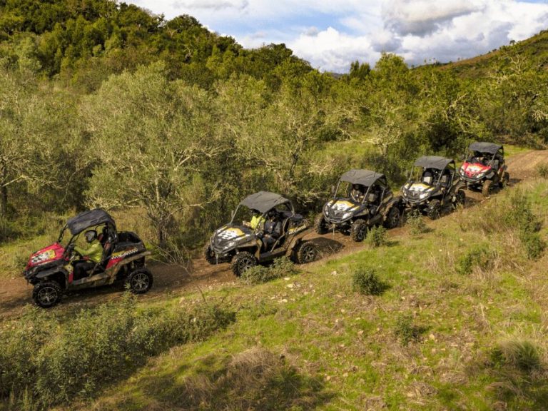 Half Day Buggy Tour - From asphalt and gravel roads to mountain trails and rocky paths, you will have the thrill of driving...